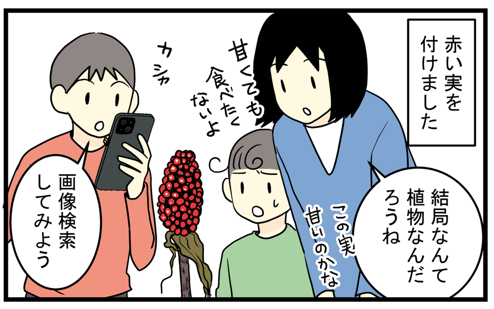 見かけたら要注意！庭に生えてきた「真っ赤な実のなる植物」の正体が怖かった話【こどもと見つけた小さな発見日誌 Vol.85】