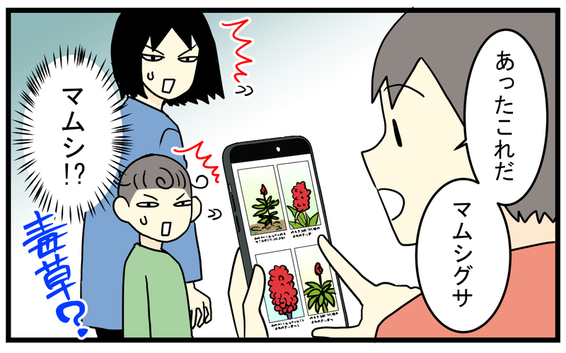 見かけたら要注意！庭に生えてきた「真っ赤な実のなる植物」の正体が怖かった話【こどもと見つけた小さな発見日誌 Vol.85】