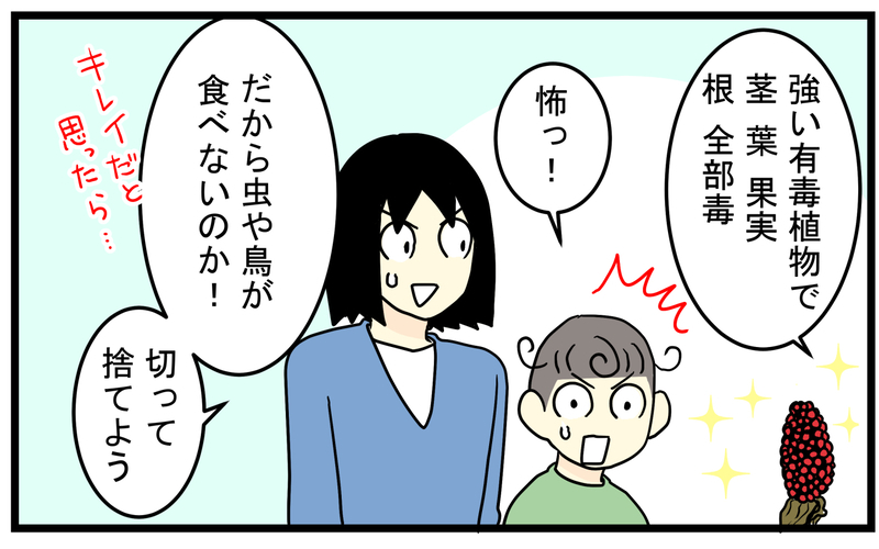 見かけたら要注意！庭に生えてきた「真っ赤な実のなる植物」の正体が怖かった話【こどもと見つけた小さな発見日誌 Vol.85】