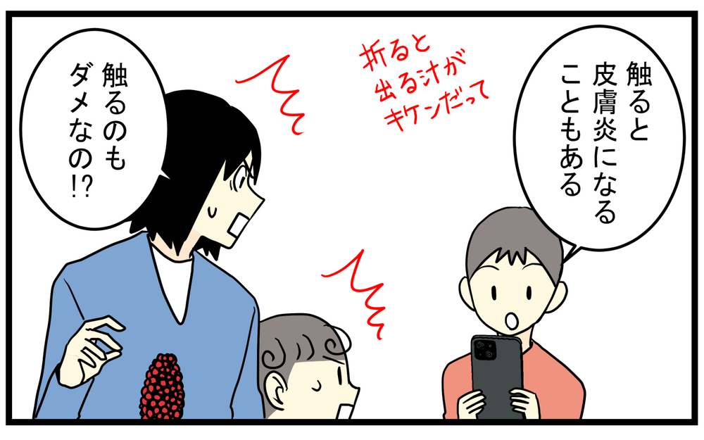 見かけたら要注意！庭に生えてきた「真っ赤な実のなる植物」の正体が怖かった話【こどもと見つけた小さな発見日誌 Vol.85】
