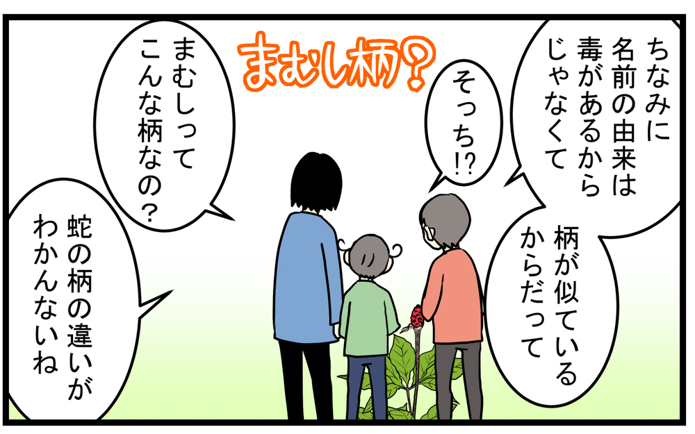 見かけたら要注意！庭に生えてきた「真っ赤な実のなる植物」の正体が怖かった話【こどもと見つけた小さな発見日誌 Vol.85】