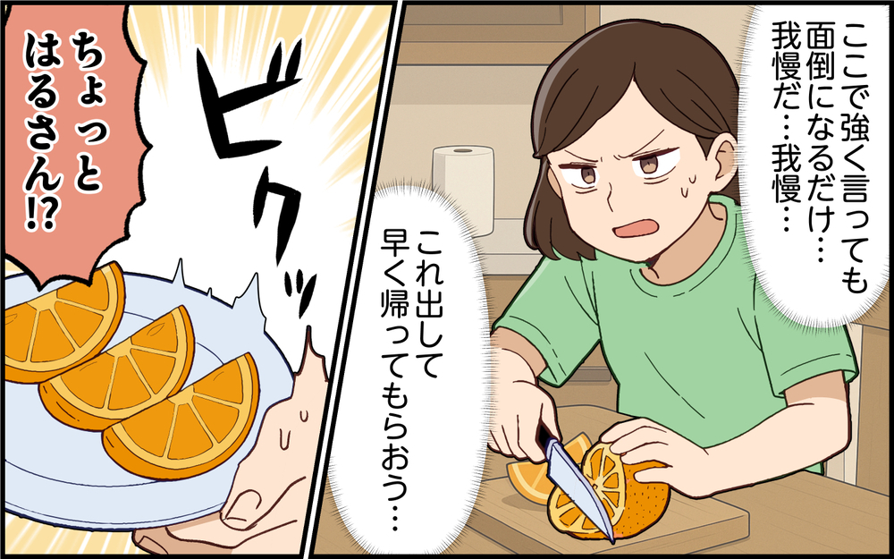 常識ないのはどっち？ 勝手に押しかけて要求ばかりの義姉にイライラ＜義姉の自分勝手が止まらない 4話＞【義父母がシンドイんです！ まんが】