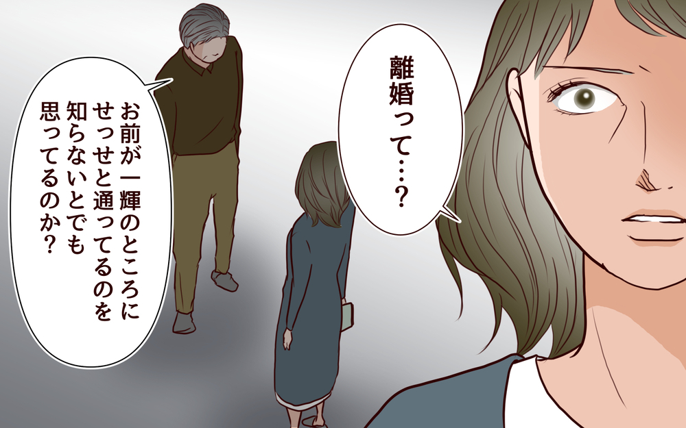 親まで離婚危機!?  息子を守るため家出した母を待っていたのは…＜その嫁、取り替え可能ですか？ 16話＞【義父母がシンドイんです！ まんが】