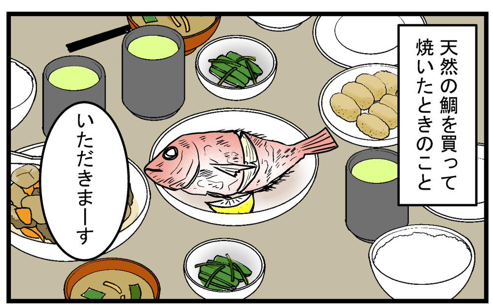 真鯛の骨にコブ!? 気になって調べてみたら意外な事実が！【こどもと見つけた小さな発見日誌 Vol.86】