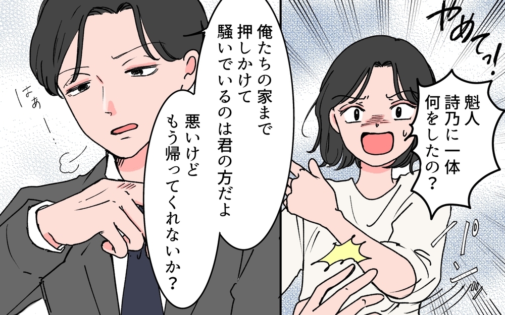 「ここはオレの聖域」私の思い込みなの？ 親友の夫に追い出されて…＜完璧夫と結婚したはずなのに 6話＞【モラハラ夫図鑑 まんが】