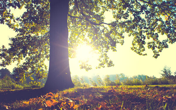 9月14日～9月20日の週間運勢ランキング！ 1位の星座は…？