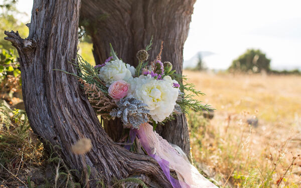 10月26日～11月1日の週間運勢ランキング！ 1位の星座は…？