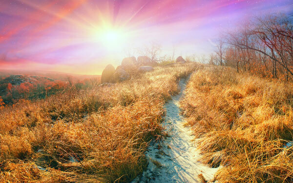 12月7日～12月13日の週間運勢ランキング！ 1位の星座は…？