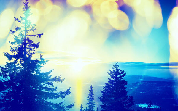 1月11日～1月17日の週間運勢ランキング！ 1位の星座は…？