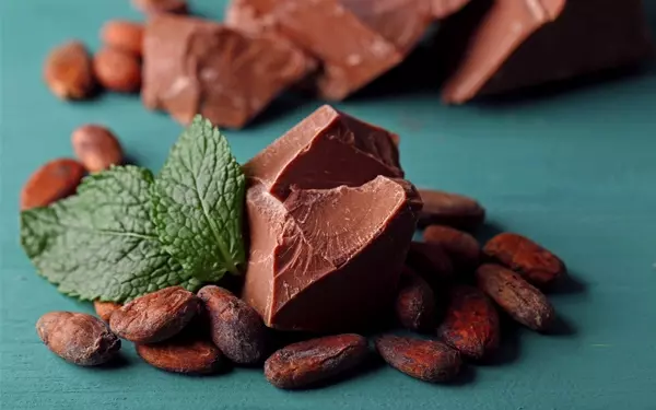 ミントの葉とカカオ豆とチョコレート