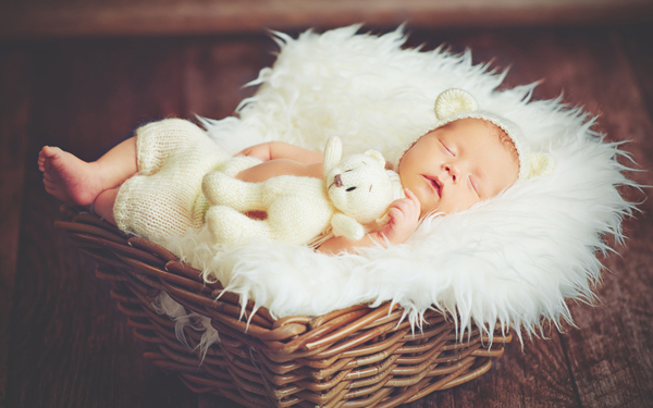 一気に器官形成が進み各パーツもハッキリ