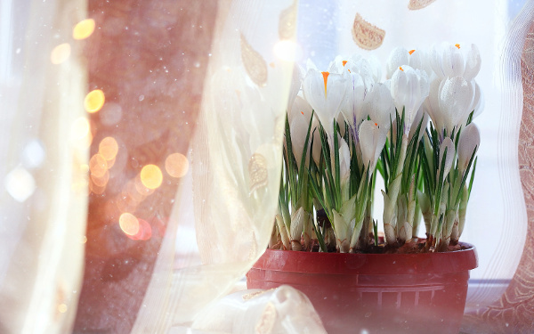 5月9日～5月15日の週間運勢ランキング！　1位の星座は…？