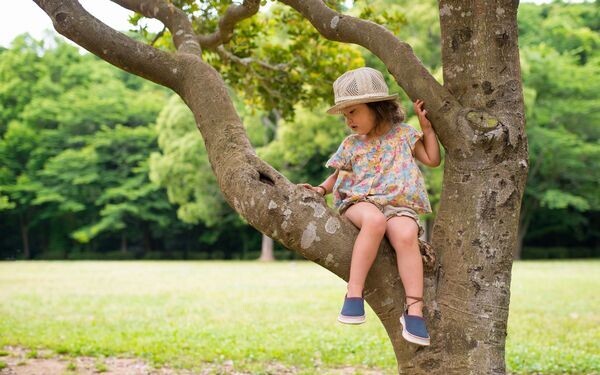 木登りをする幼児