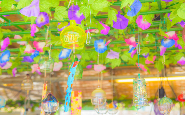 8月15日～8月21日の週間運勢ランキング！　1位の星座は…？