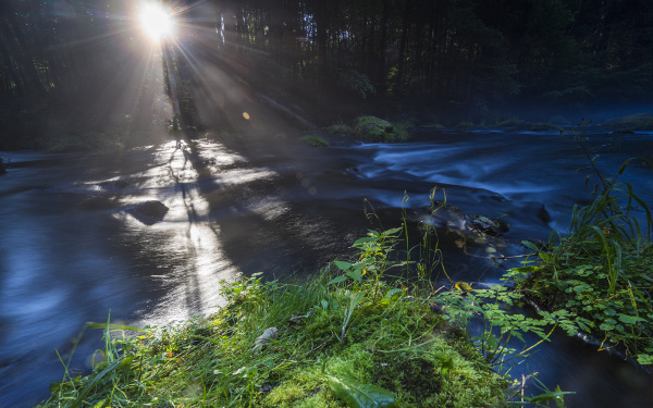 8月29日～9月4日の週間運勢ランキング！　1位の星座は…？