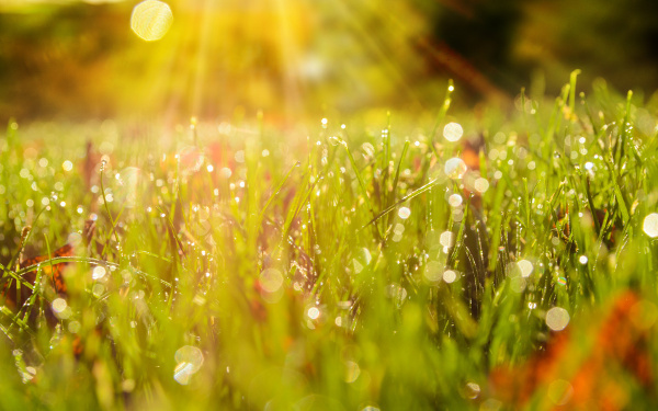 9月12日～9月18日の週間運勢ランキング！　1位の星座は…？