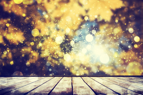 10月17日～10月23日の週間運勢ランキング！　1位の星座は…？