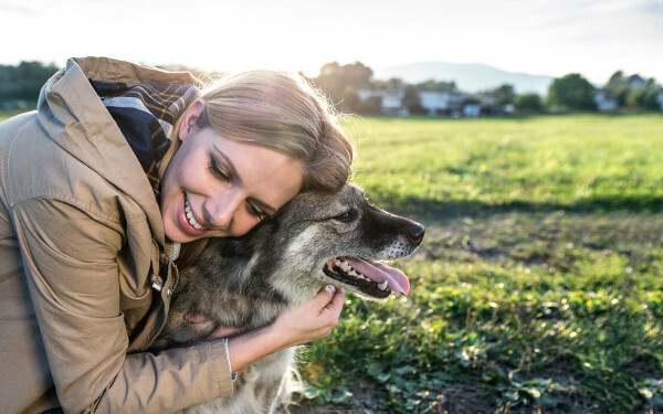 11月14日～11月20日の週間運勢ランキング！　1位の星座は…？