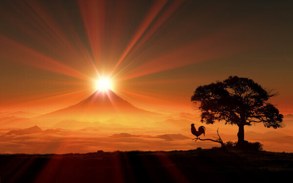 1月2日～1月8日の週間運勢ランキング！　1位の星座は…？