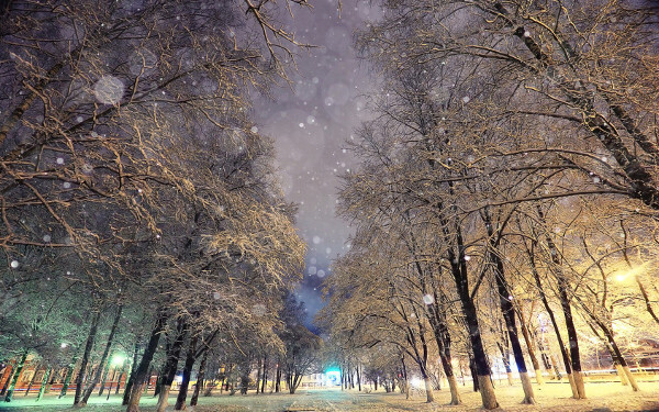 1月30日～2月5日の週間運勢占いランキング！　1位の星座は…？