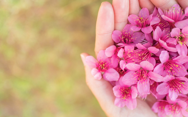 3月27日～4月2日の週間運勢占いランキング！　1位の星座は…？