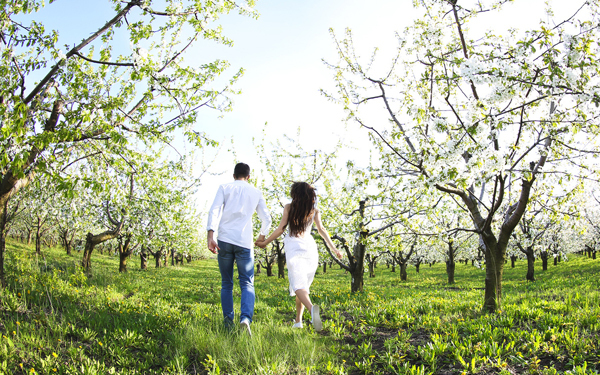 『カルテット』バツイチ家森（高橋一生）が恋に踏み切らない理由