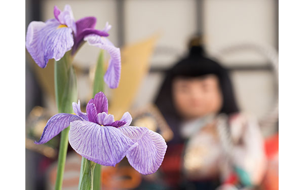 5月5日は端午の節句（こどもの日）　本当の由来と正しいお祝いの仕方