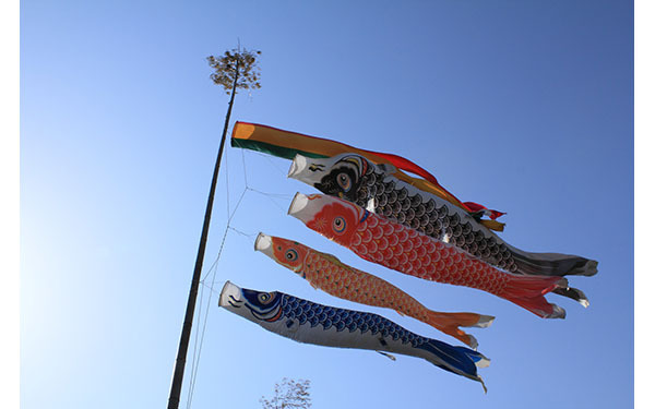 5月5日は端午の節句（こどもの日）　本当の由来と正しいお祝いの仕方