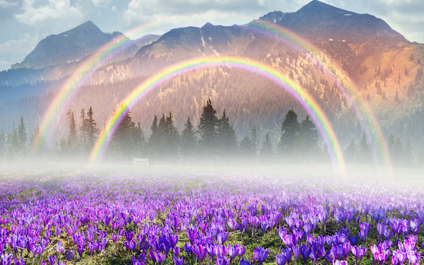 4月17日～4月23日の週間運勢占いランキング！　1位の星座は…？