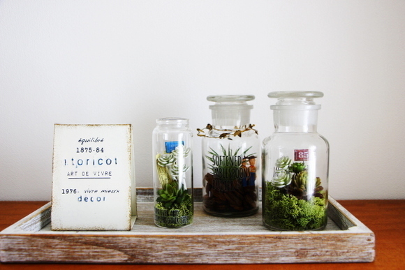 フェイク多肉でテラリウム！ 100均で楽しむ「多肉植物アレンジ」4つのアイディア