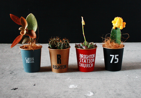 フェイク多肉でテラリウム！ 100均で楽しむ「多肉植物アレンジ」4つのアイディア