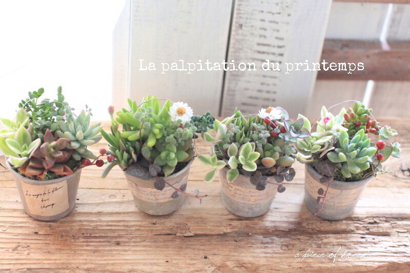 フェイク多肉でテラリウム！ 100均で楽しむ「多肉植物アレンジ」4つのアイディア