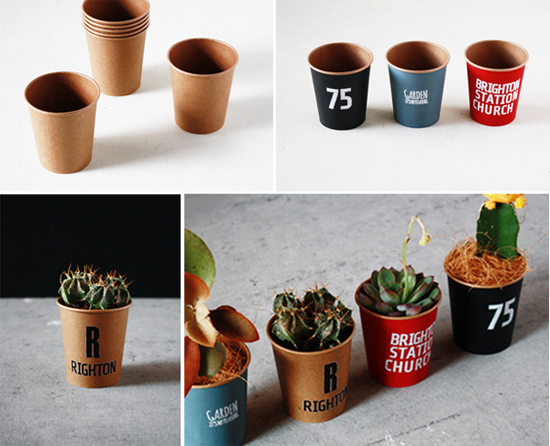 フェイク多肉でテラリウム！ 100均で楽しむ「多肉植物アレンジ」4つのアイディア