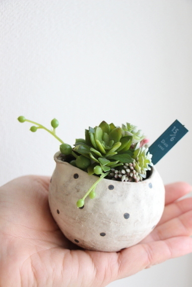 フェイク多肉でテラリウム！ 100均で楽しむ「多肉植物アレンジ」4つのアイディア
