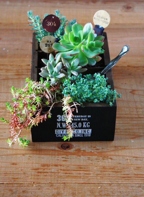 フェイク多肉でテラリウム！ 100均で楽しむ「多肉植物アレンジ」4つのアイディア