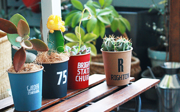 フェイク多肉でテラリウム！ 100均で楽しむ「多肉植物アレンジ」4つのアイディア