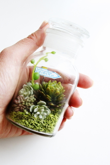 フェイク多肉でテラリウム！ 100均で楽しむ「多肉植物アレンジ」4つのアイディア