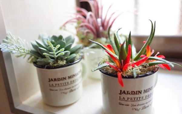 フェイク多肉でテラリウム！ 100均で楽しむ「多肉植物アレンジ」4つのアイディア