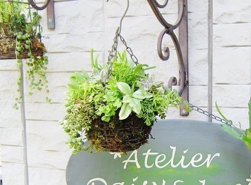 フェイク多肉でテラリウム！ 100均で楽しむ「多肉植物アレンジ」4つのアイディア