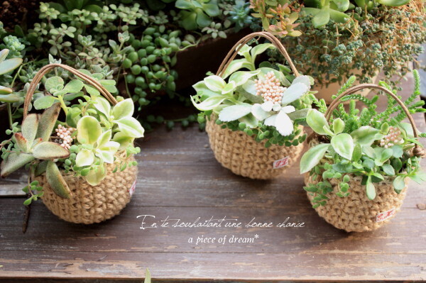 フェイク多肉でテラリウム！ 100均で楽しむ「多肉植物アレンジ」4つのアイディア