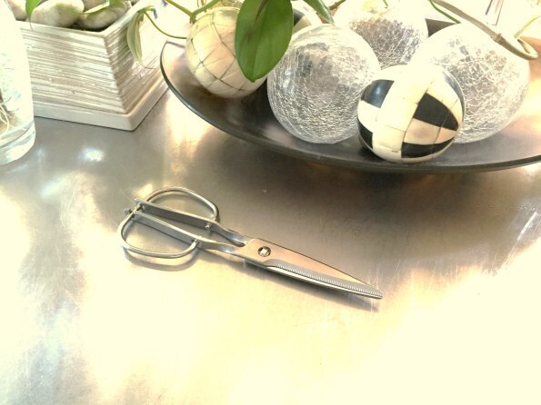 キッチンスパッターで包丁なしの時短調理！ 鳥部製作所のキッチンばさみ【人気ブロガーの「これがマイベスト」  Vol.6】