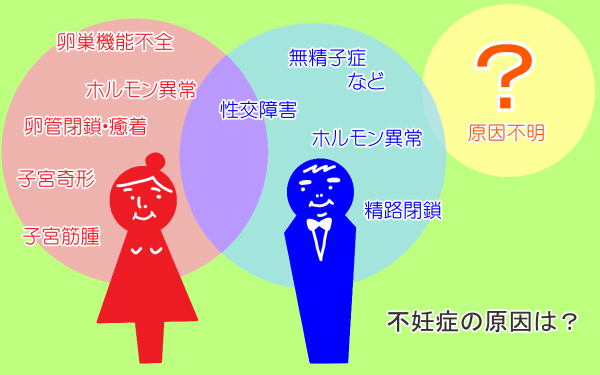 不妊の原因は私にあった【こうして赤子を授かった～中村こてつ不妊治療体験記～ 第6話】