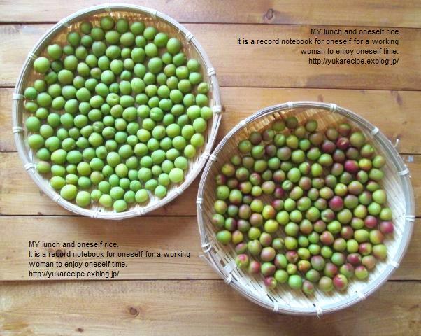 今年こそ「梅しごと」にトライ！　梅酒、梅シロップ、梅干しをおいしく作るには？【人気ブロガーのレシピ付き】