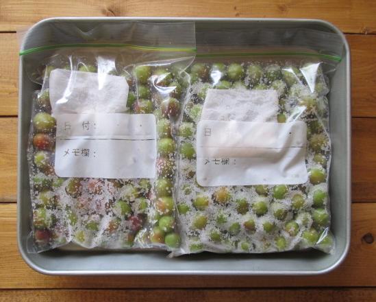 今年こそ「梅しごと」にトライ！　梅酒、梅シロップ、梅干しをおいしく作るには？【人気ブロガーのレシピ付き】