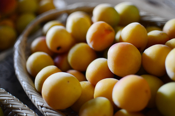 今年こそ「梅しごと」にトライ！　梅酒、梅シロップ、梅干しをおいしく作るには？【人気ブロガーのレシピ付き】