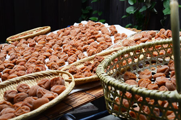 今年こそ「梅しごと」にトライ！　梅酒、梅シロップ、梅干しをおいしく作るには？【人気ブロガーのレシピ付き】