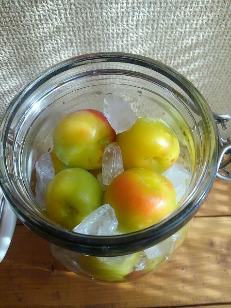 今年こそ「梅しごと」にトライ！　梅酒、梅シロップ、梅干しをおいしく作るには？【人気ブロガーのレシピ付き】