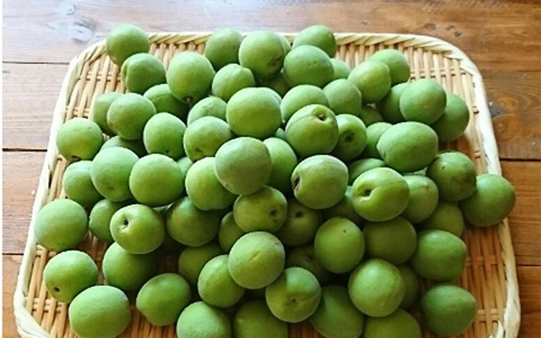 今年こそ「梅しごと」にトライ！　梅酒、梅シロップ、梅干しをおいしく作るには？【人気ブロガーのレシピ付き】