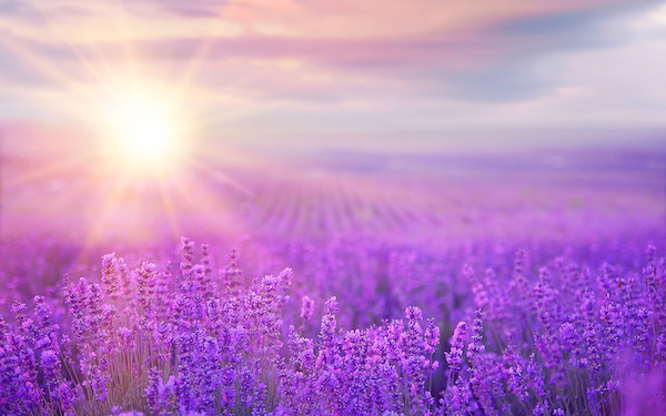 7月17日～7月23日の週間運勢占いランキング！　1位の星座は…？