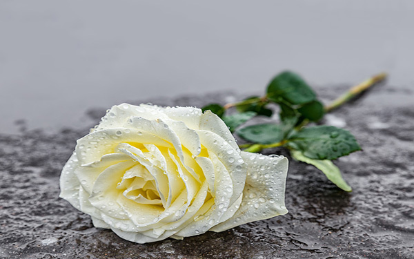 人としてありえない！　結婚予定だった彼と破局しました